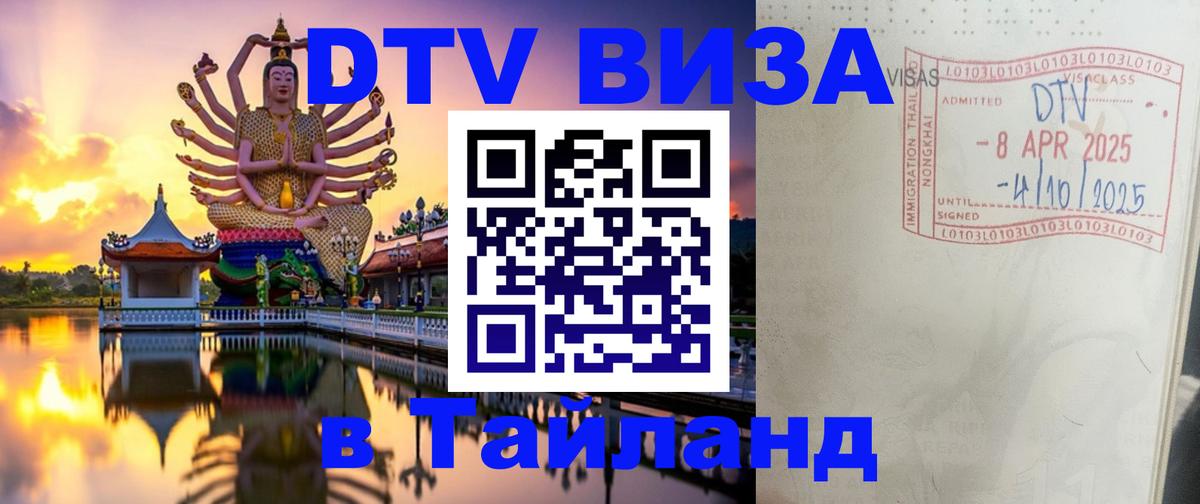 Оформление DTV визы под ключ: стоимость и тарифы, только загранпаспорт - Сан-Сальвадор  08.01.2026 